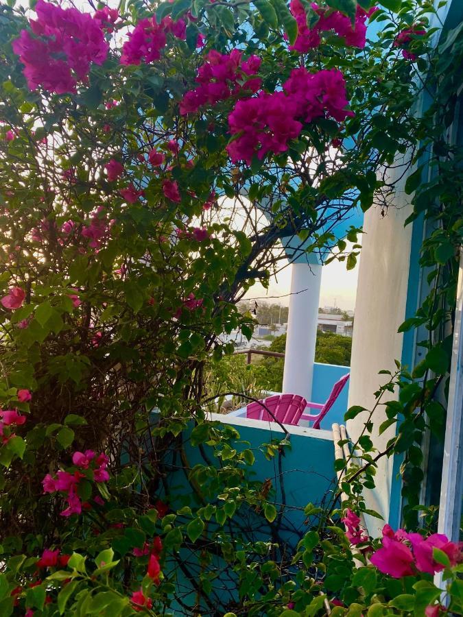 Casa Cielo 2 With Detached Balcony * Isla Mujeres